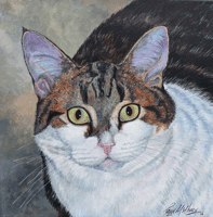 Aldasoro The Cat Painting
