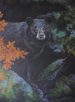 Black Bear in Cave Oil Painting