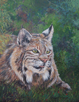 Bobcat Face Oil Painting