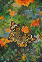 Butterfly Painting