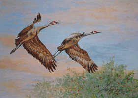 Herons in the Air Oil Painting