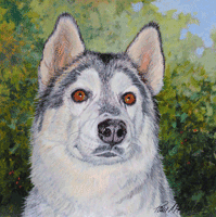 Ivan the Husky Painting