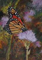 Monarch On Cactus Flower Painting