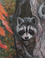 Raccoon Face in Fall Oil Painting